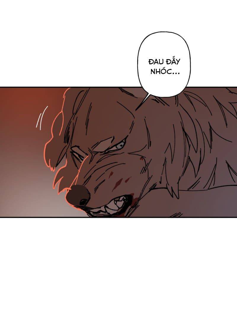 Lumine - Chương 110