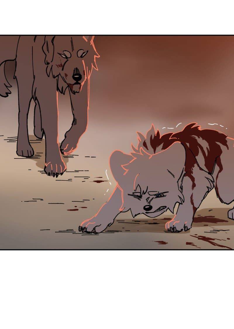 Lumine - Chương 110