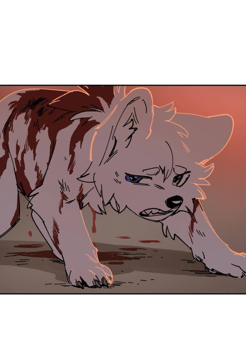 Lumine - Chương 110