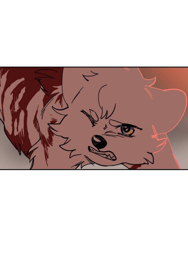 Lumine - Chương 110