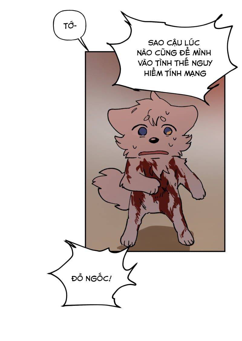 Lumine - Chương 110