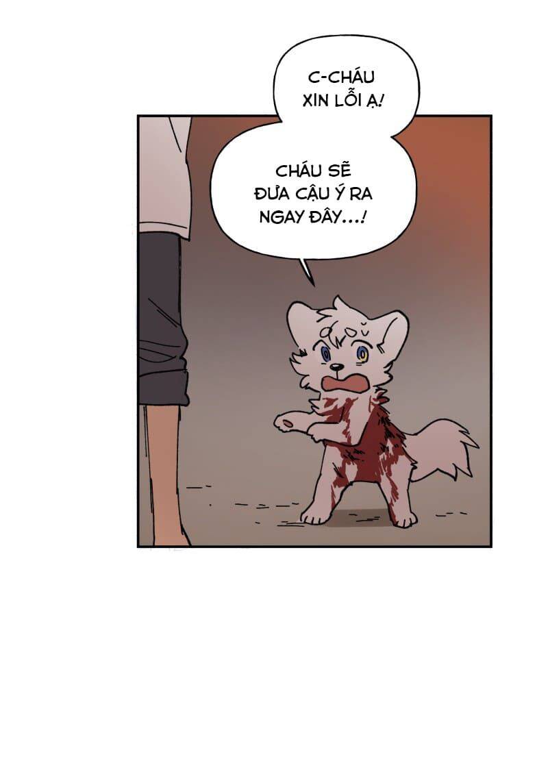 Lumine - Chương 110