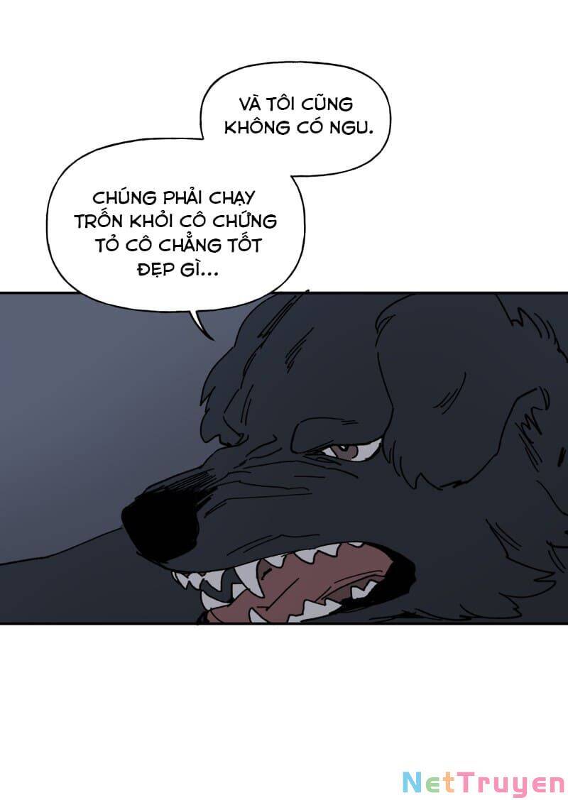 Lumine - Chương 123