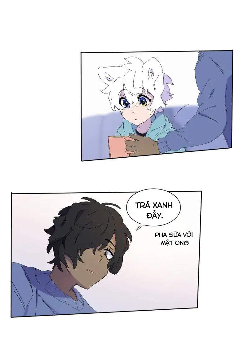 Lumine - Chương 60