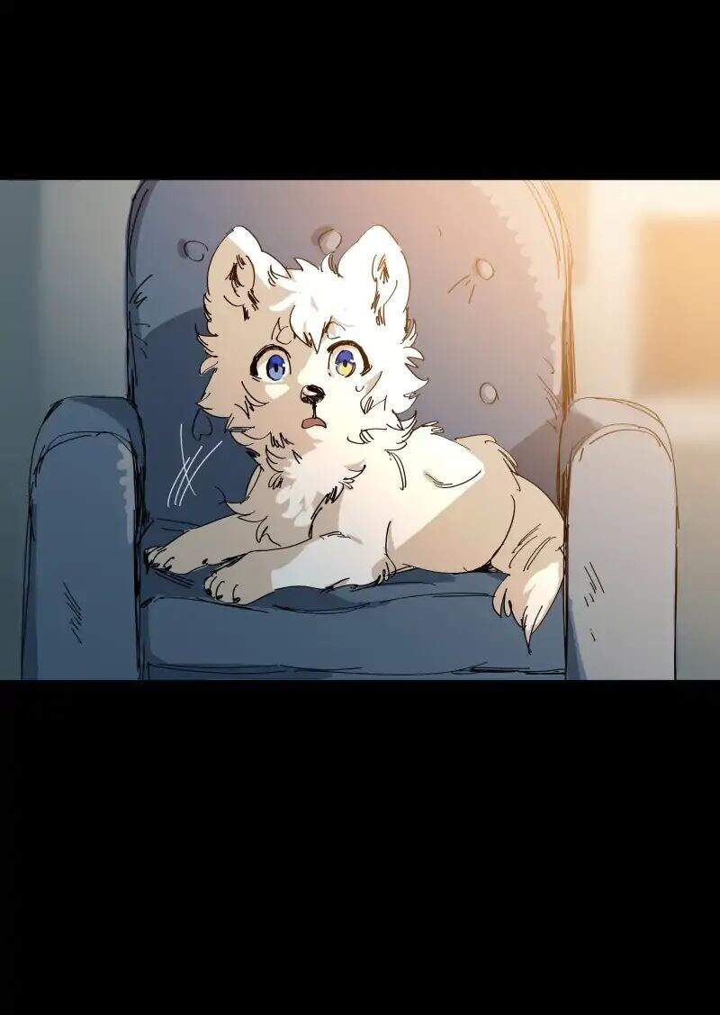 Lumine - Chương 63