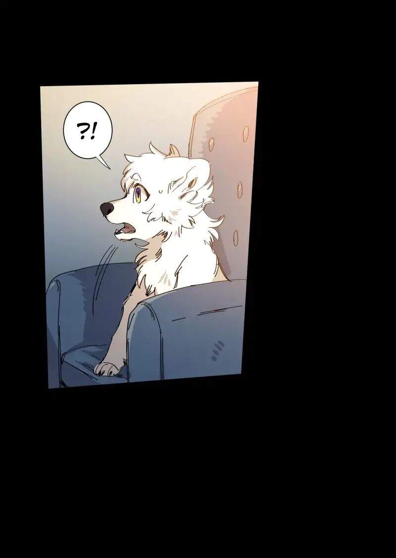 Lumine - Chương 63