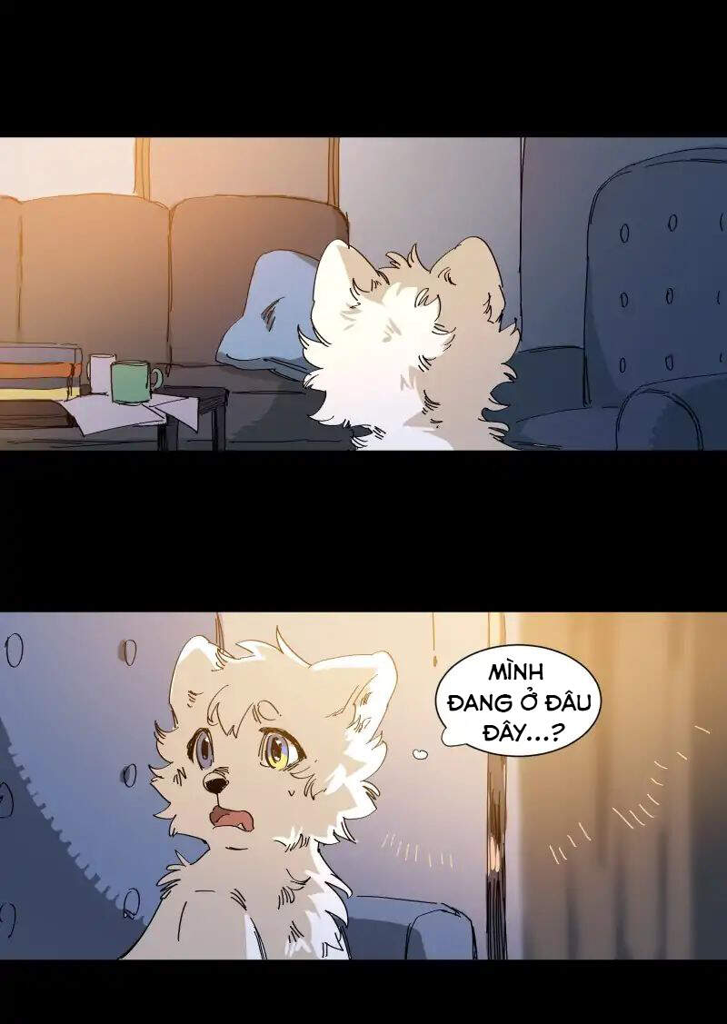 Lumine - Chương 63