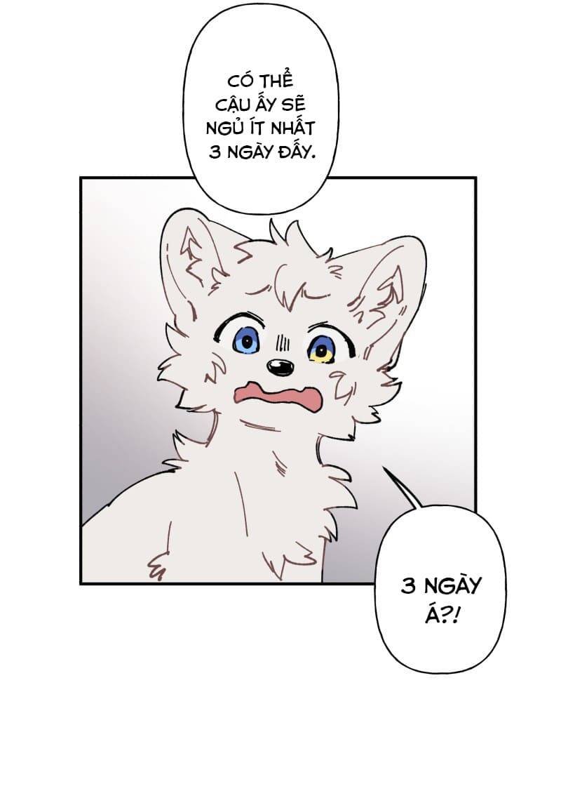 Lumine - Chương 105