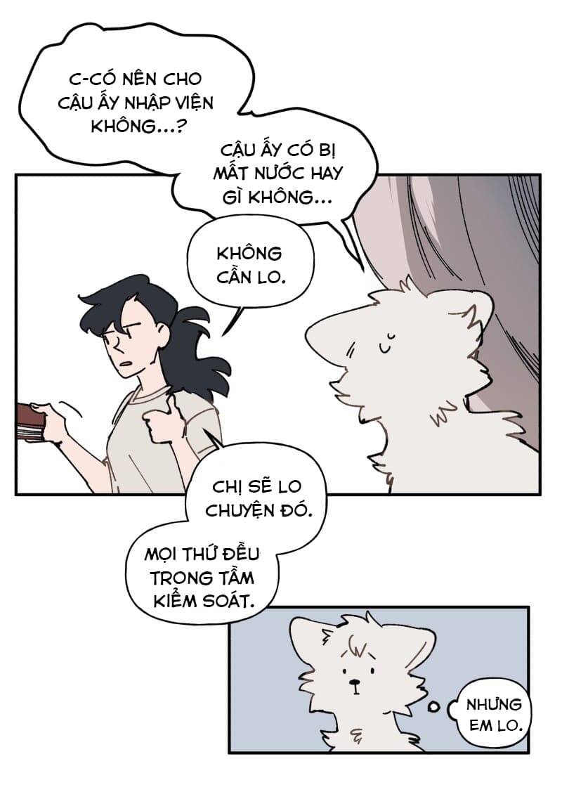 Lumine - Chương 105