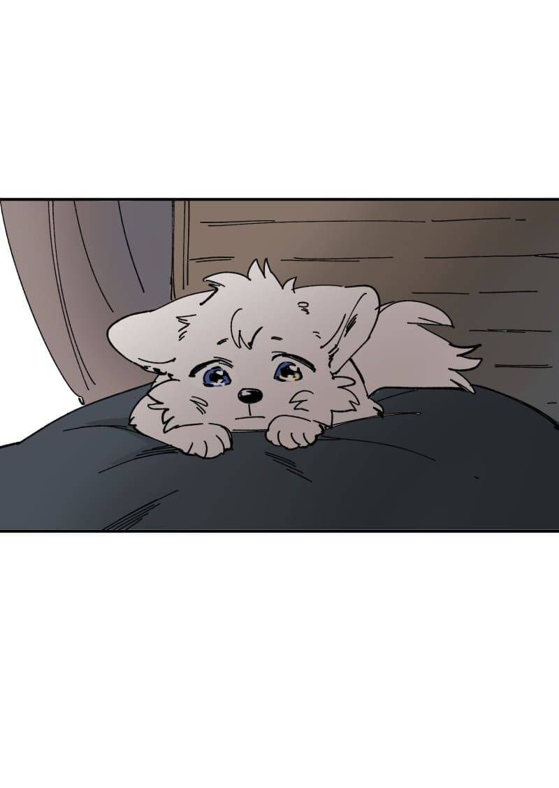 Lumine - Chương 105