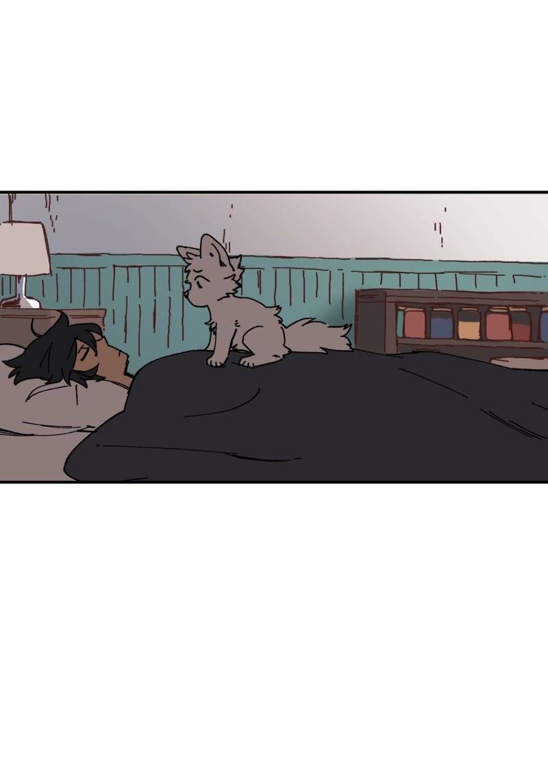 Lumine - Chương 105