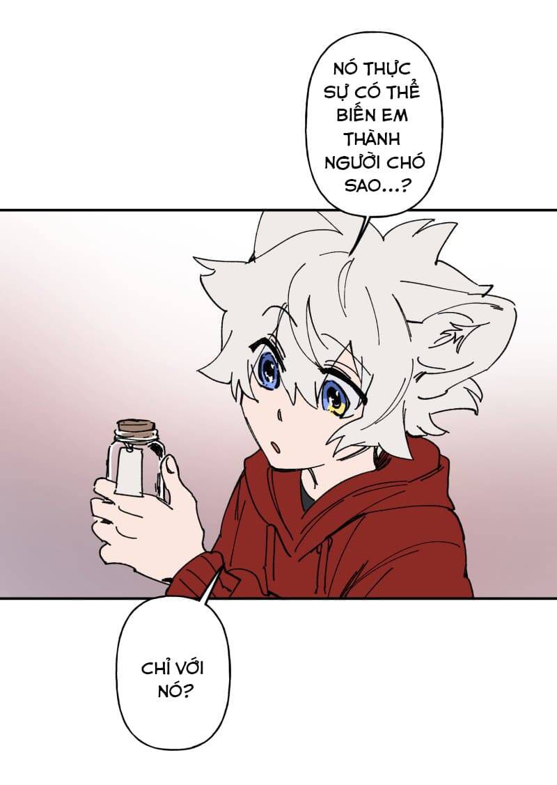 Lumine - Chương 106