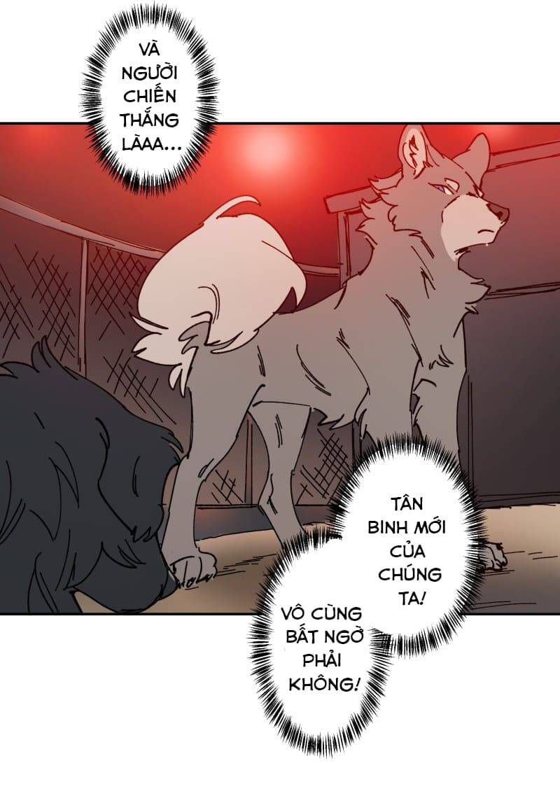 Lumine - Chương 106