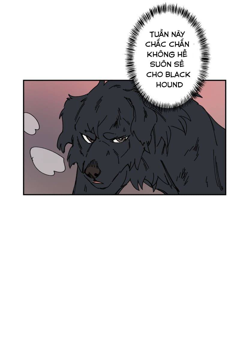 Lumine - Chương 106