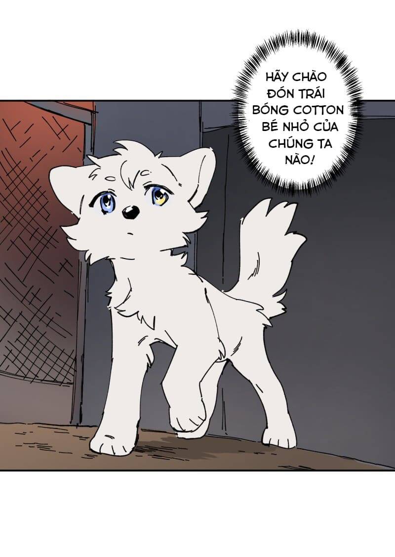 Lumine - Chương 106