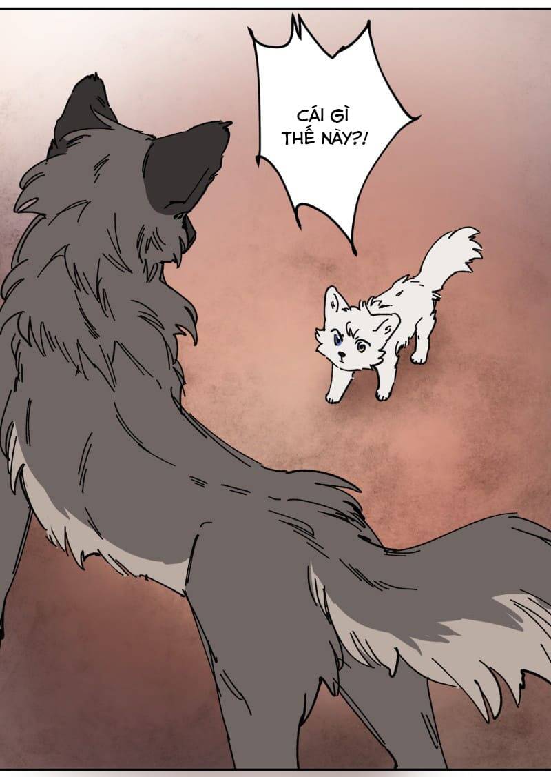 Lumine - Chương 106