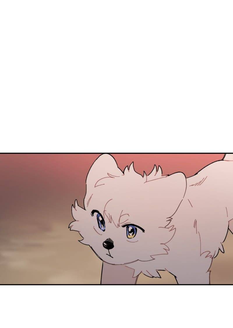 Lumine - Chương 107