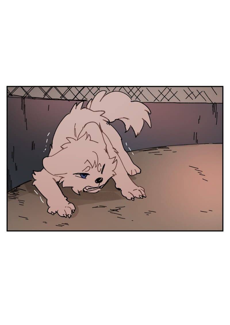 Lumine - Chương 107