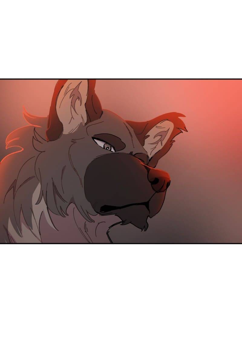 Lumine - Chương 107