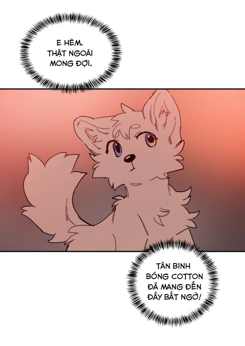 Lumine - Chương 107