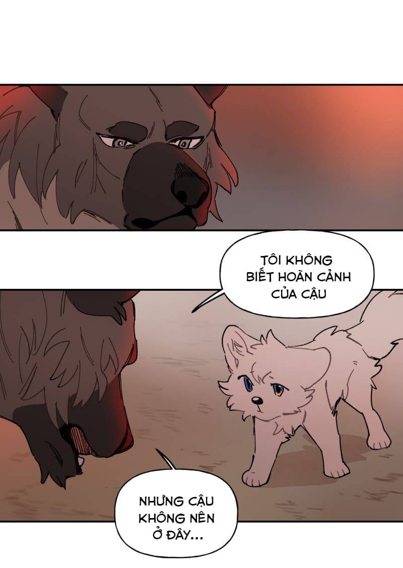 Lumine - Chương 107