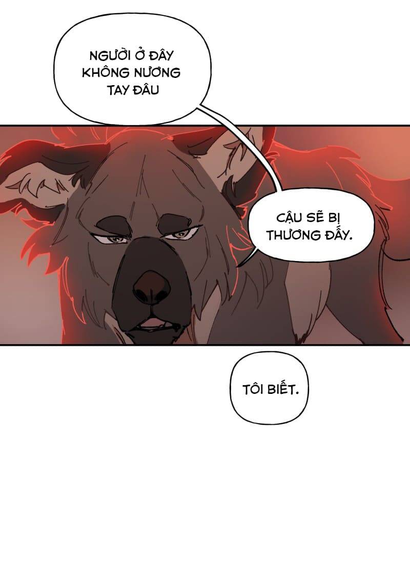 Lumine - Chương 107