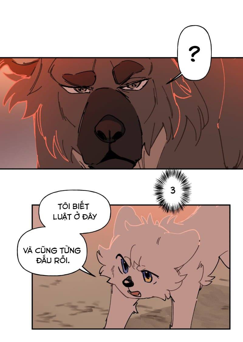 Lumine - Chương 107