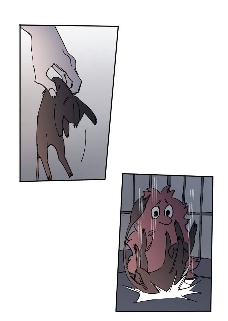 Lumine - Chương 108