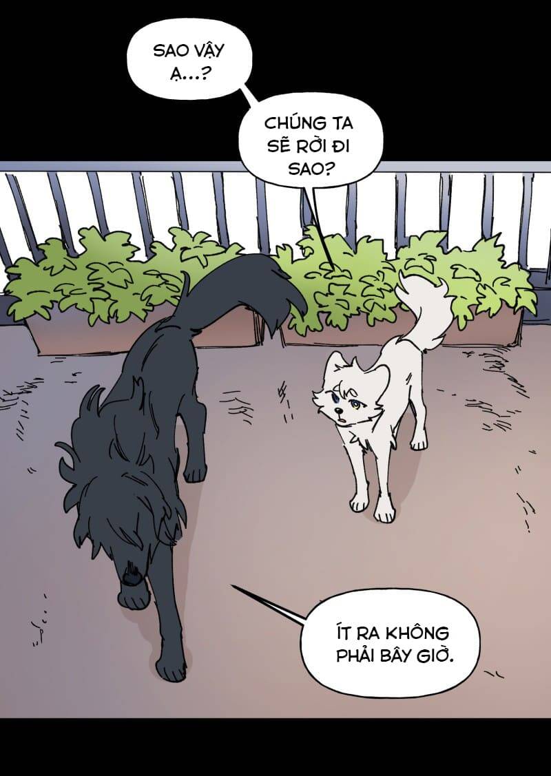 Lumine - Chương 109