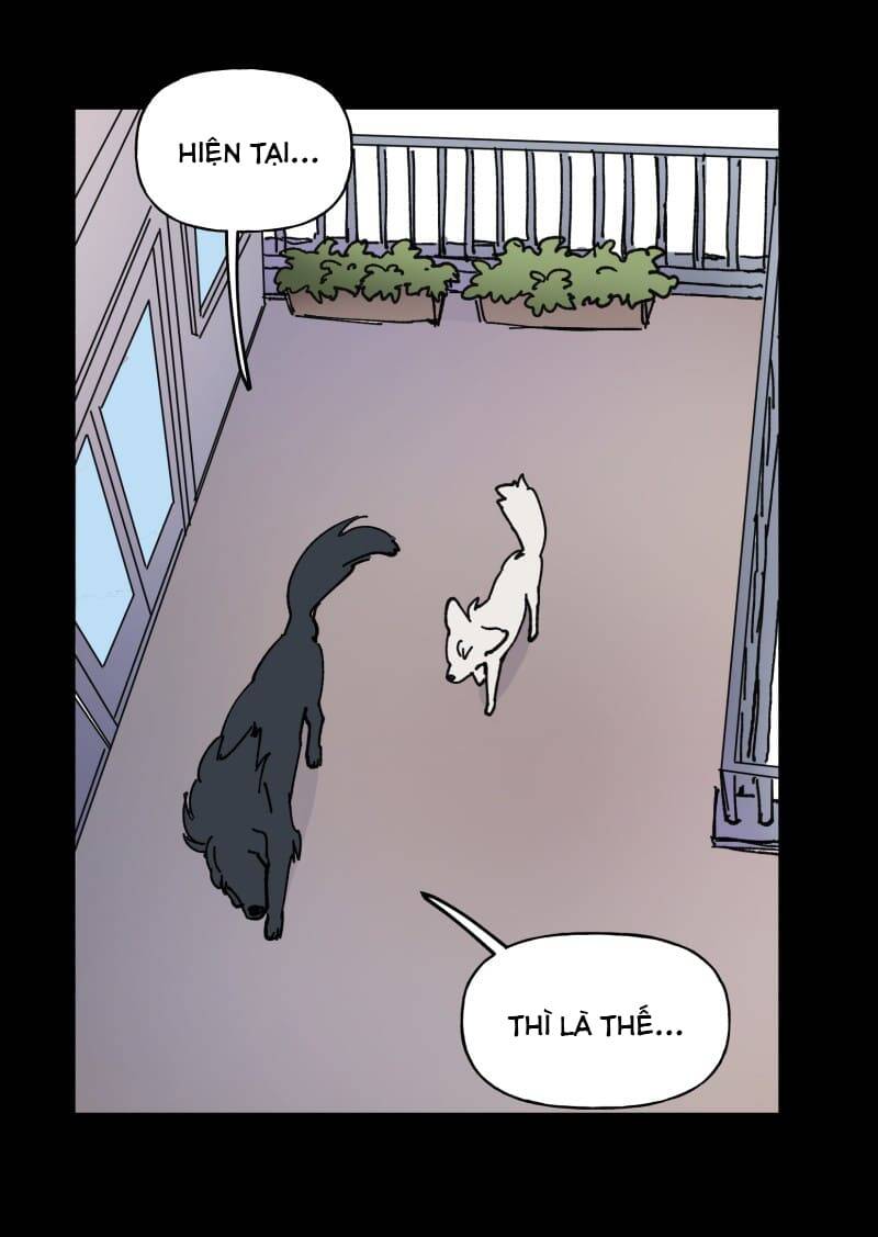 Lumine - Chương 109