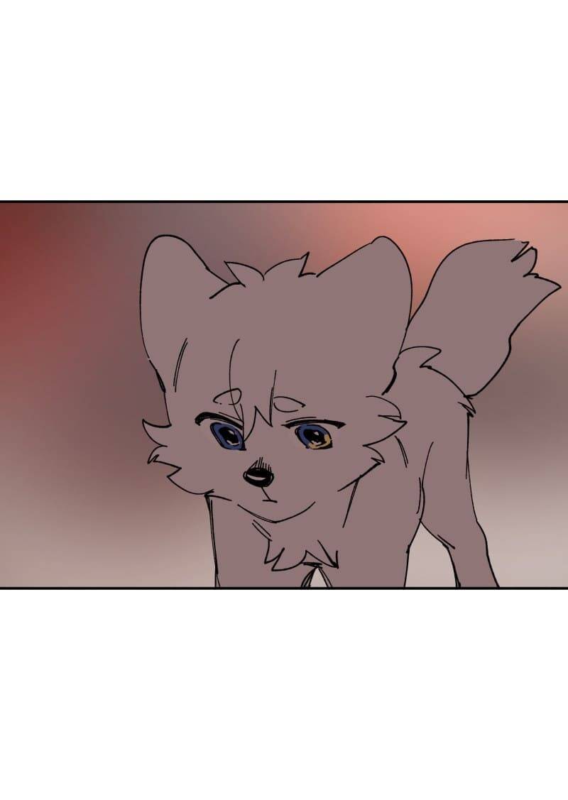 Lumine - Chương 109