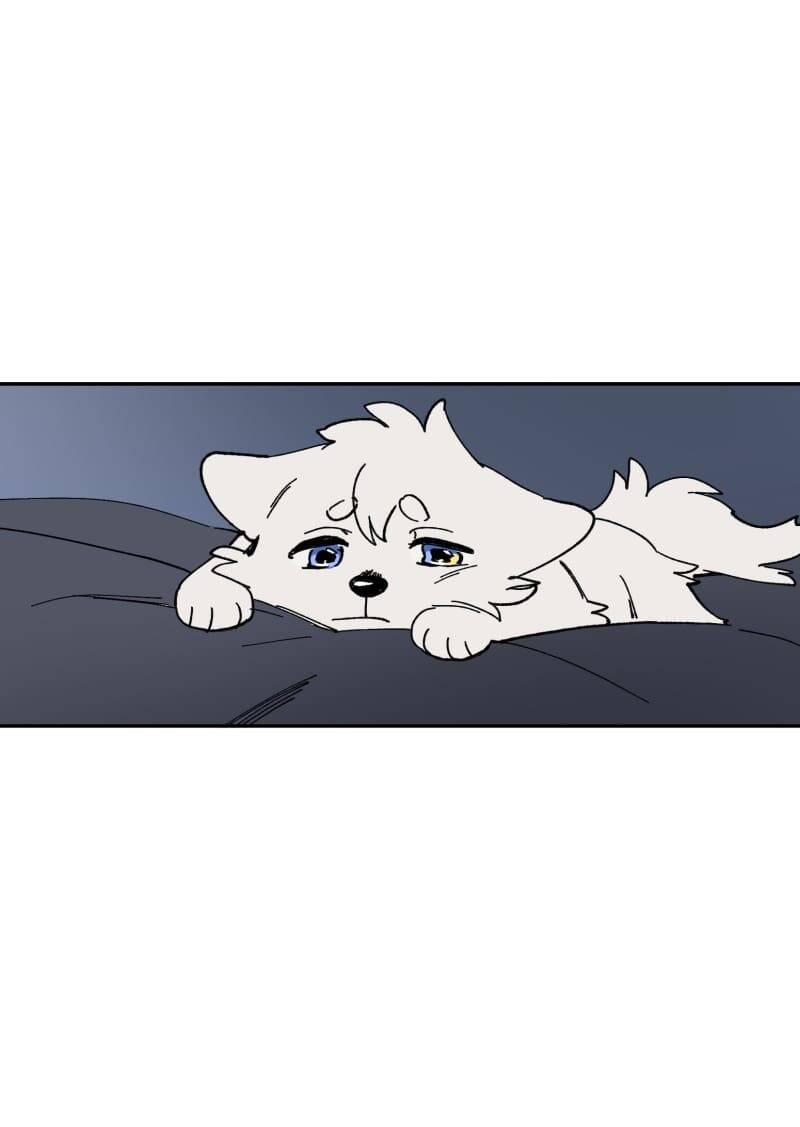 Lumine - Chương 112