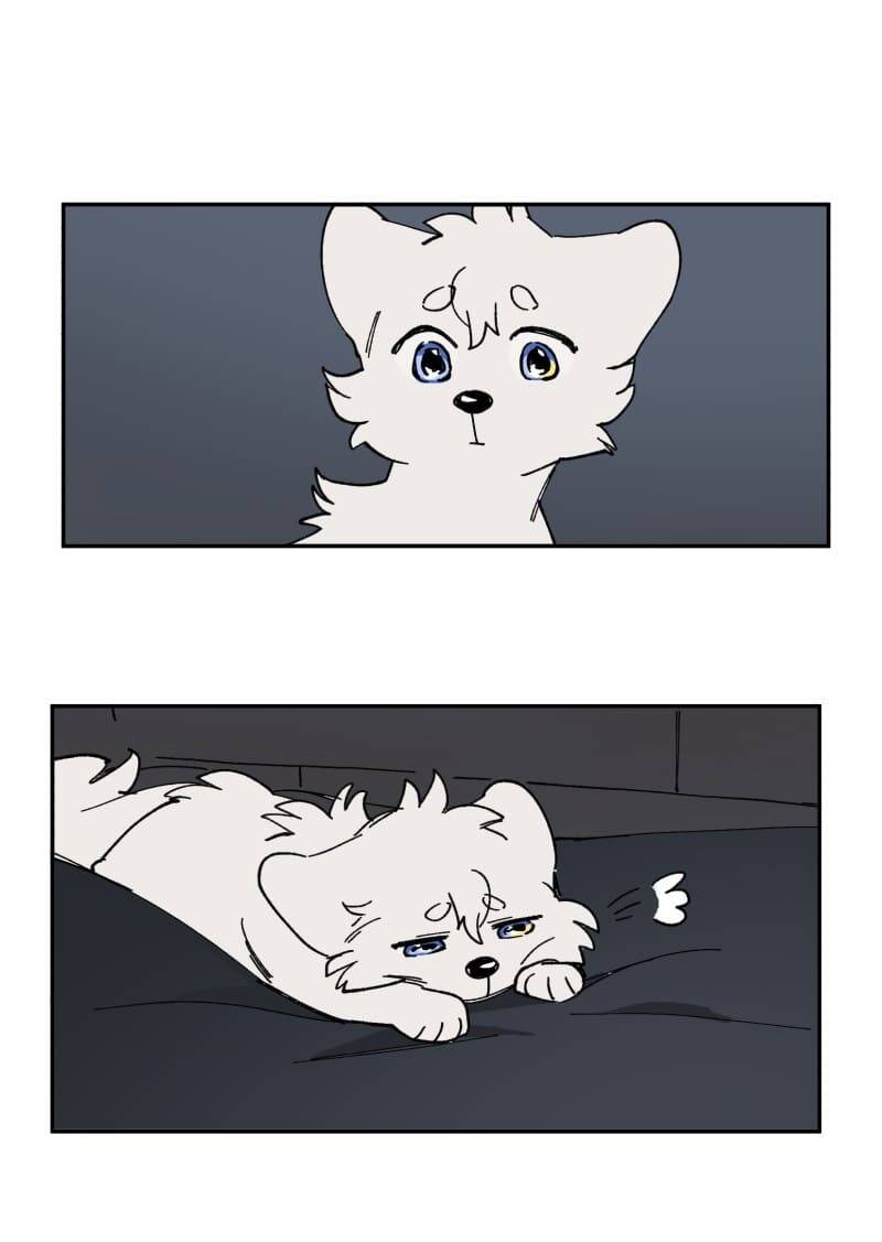 Lumine - Chương 112