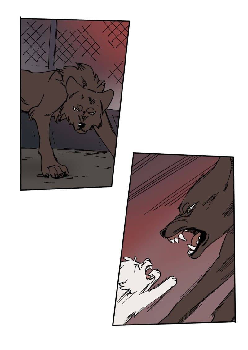 Lumine - Chương 112