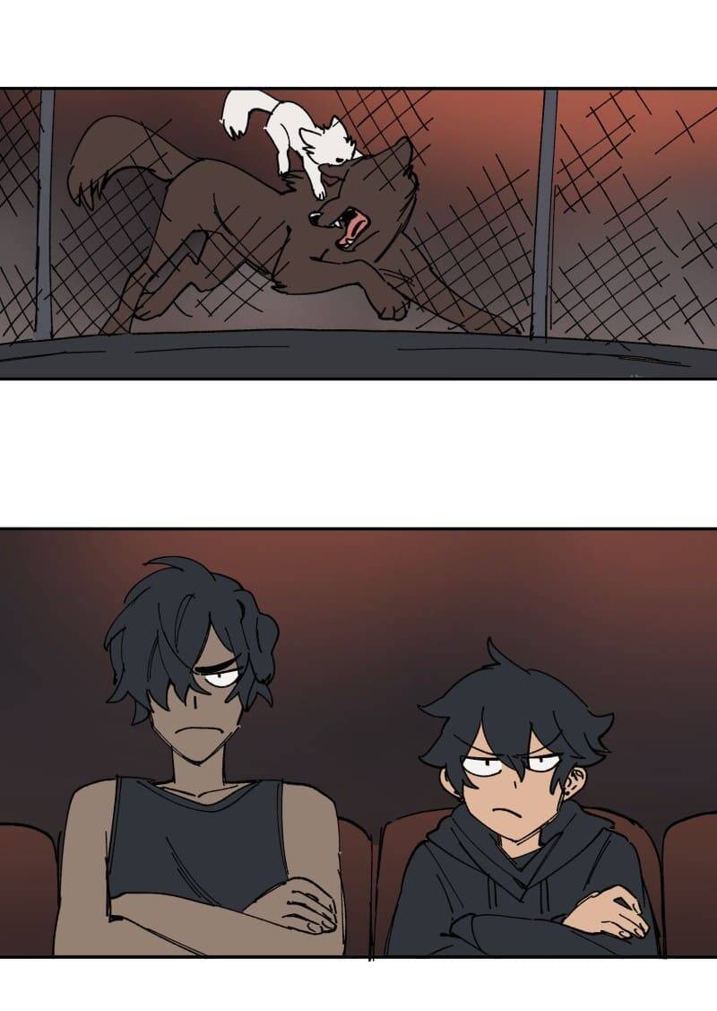 Lumine - Chương 112