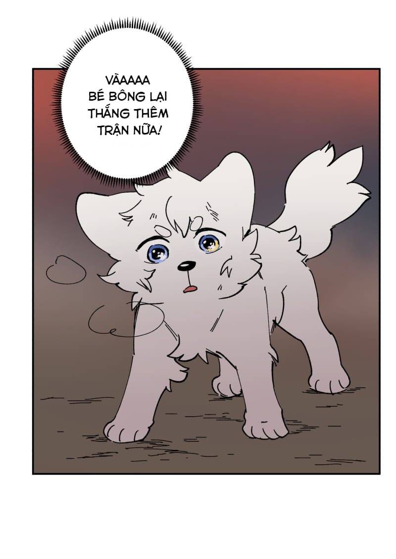 Lumine - Chương 112