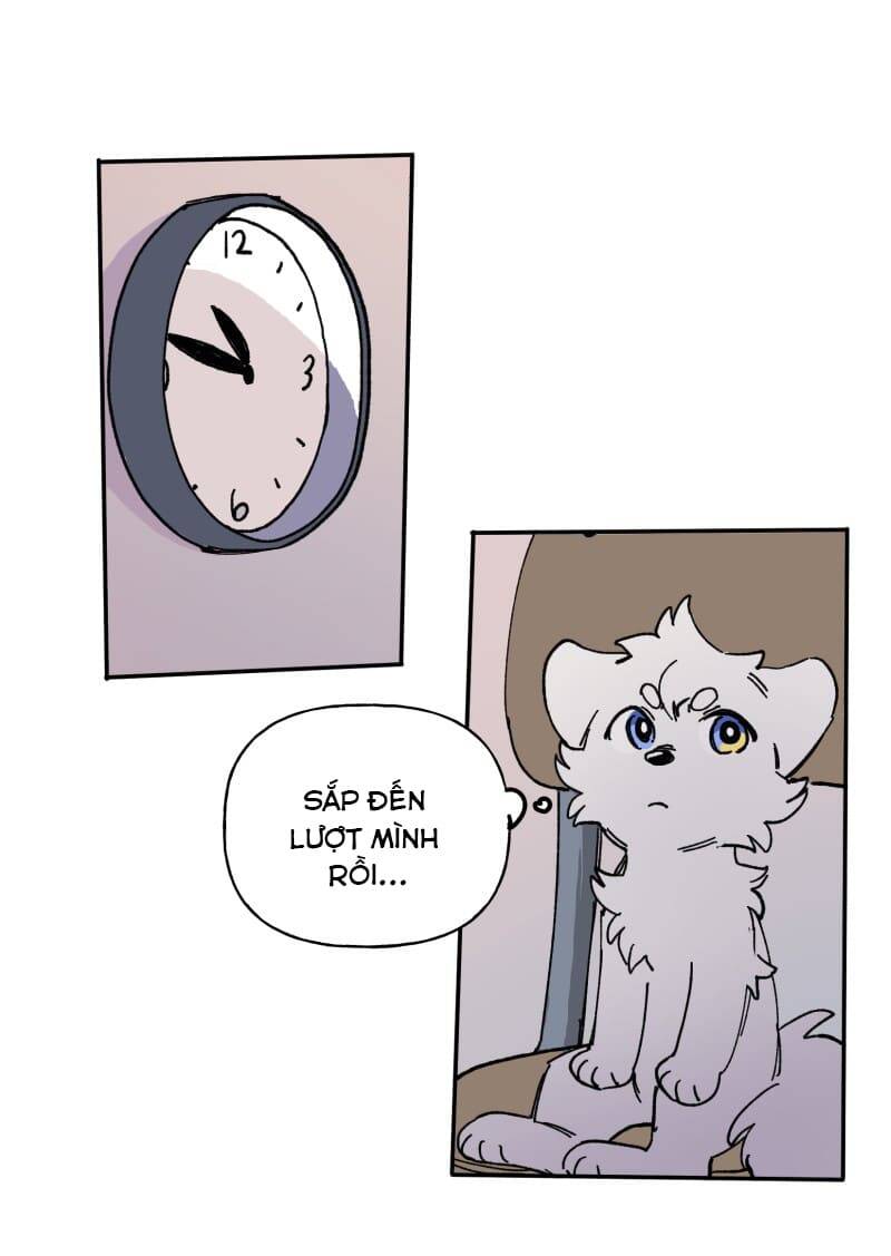 Lumine - Chương 113