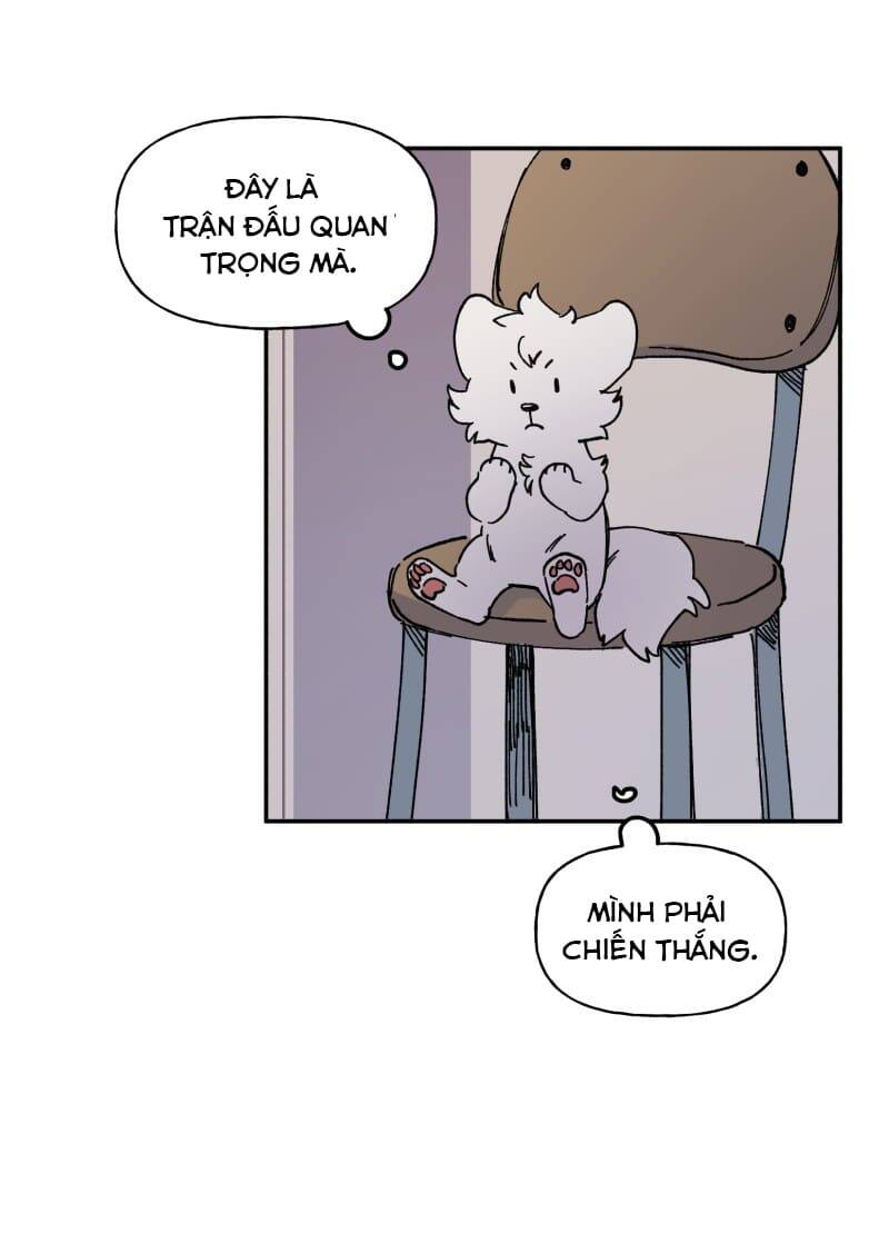 Lumine - Chương 113