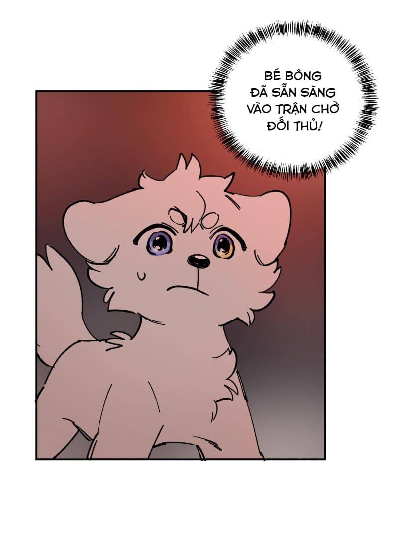 Lumine - Chương 113