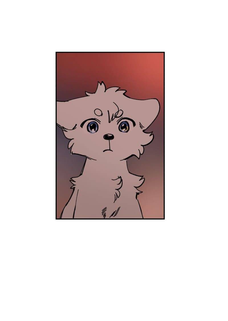 Lumine - Chương 113