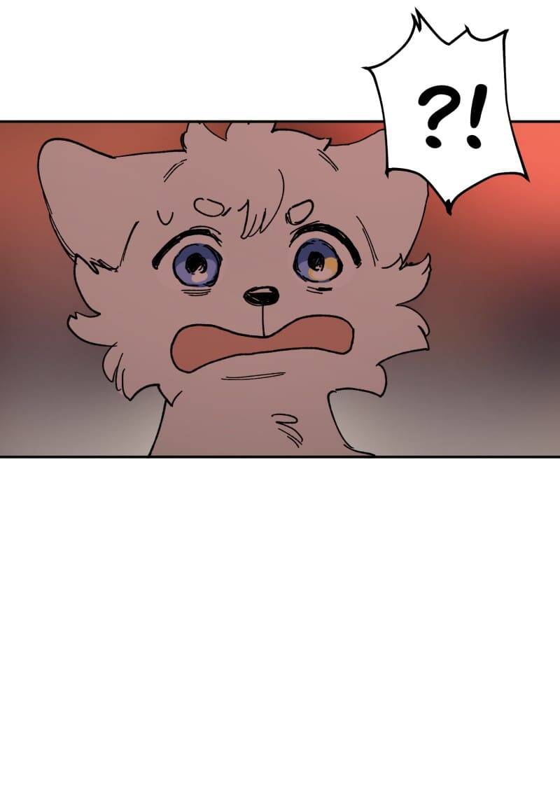 Lumine - Chương 113