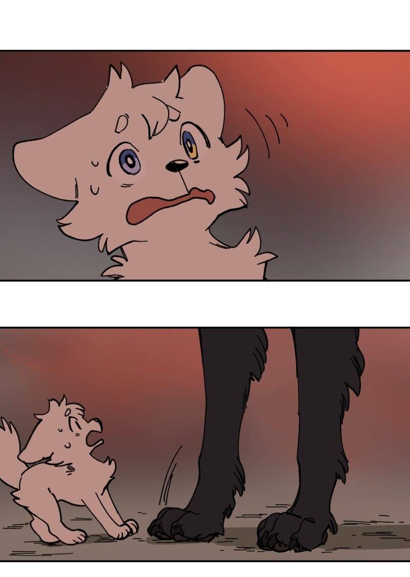 Lumine - Chương 113