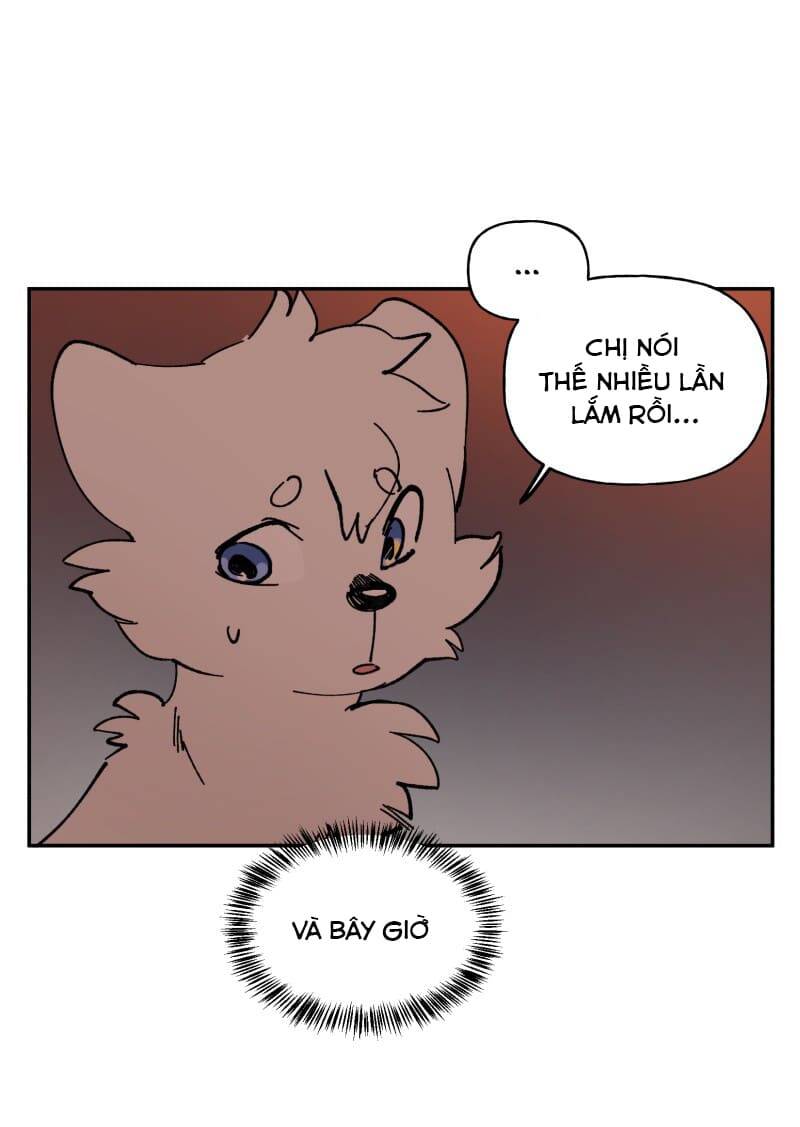 Lumine - Chương 113