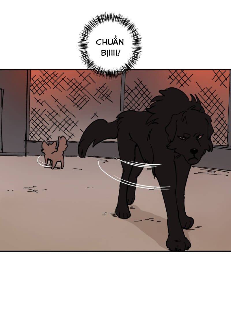 Lumine - Chương 113