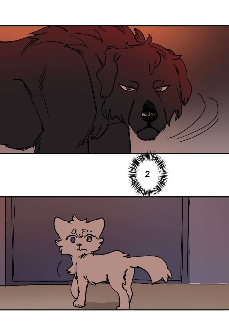 Lumine - Chương 113