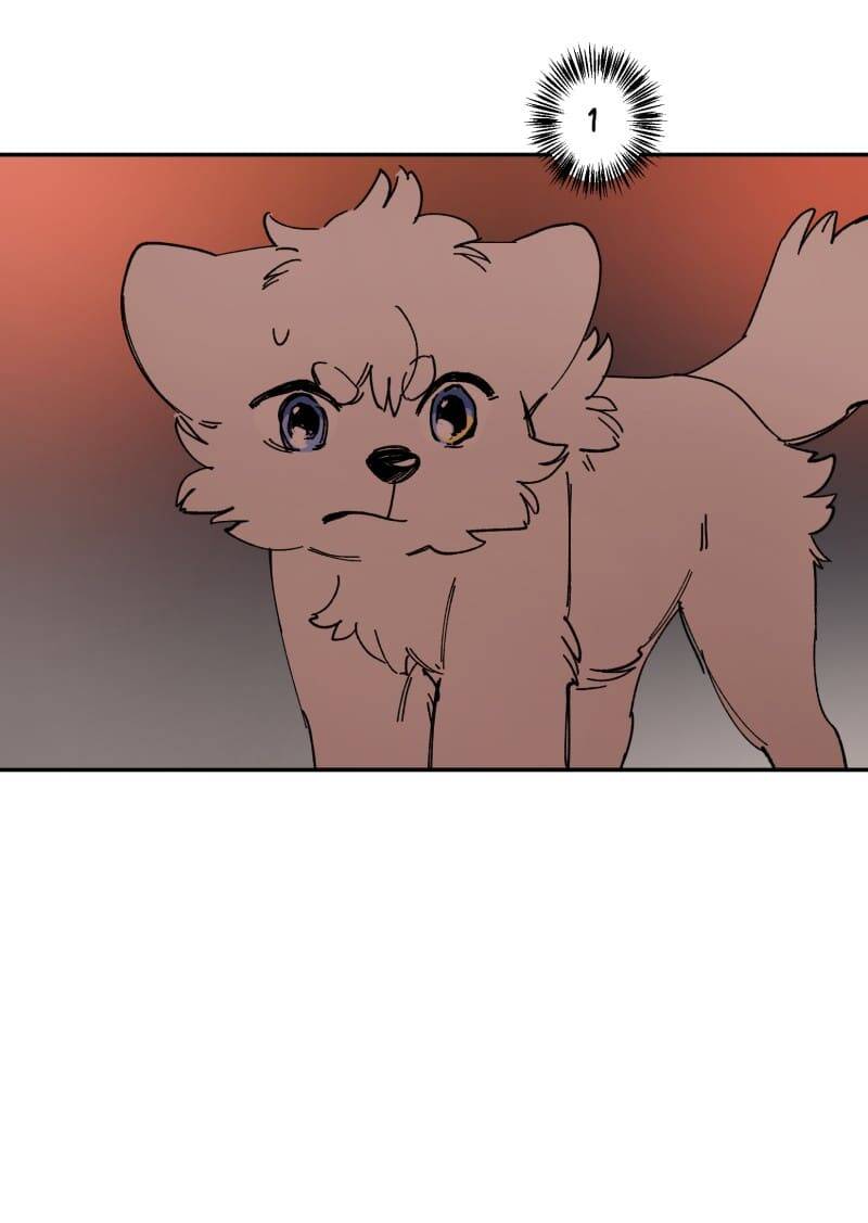 Lumine - Chương 113