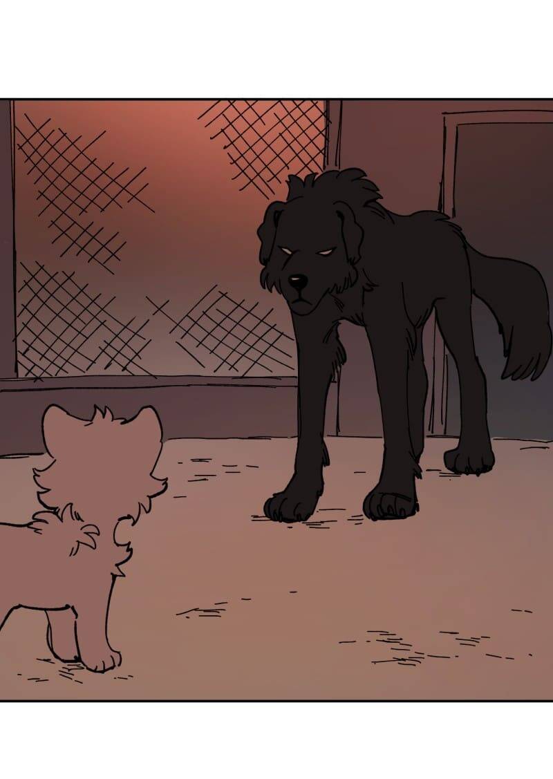 Lumine - Chương 113