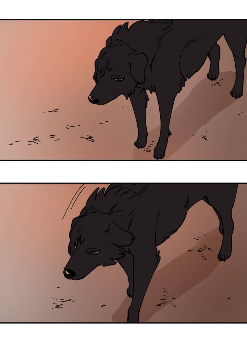 Lumine - Chương 113