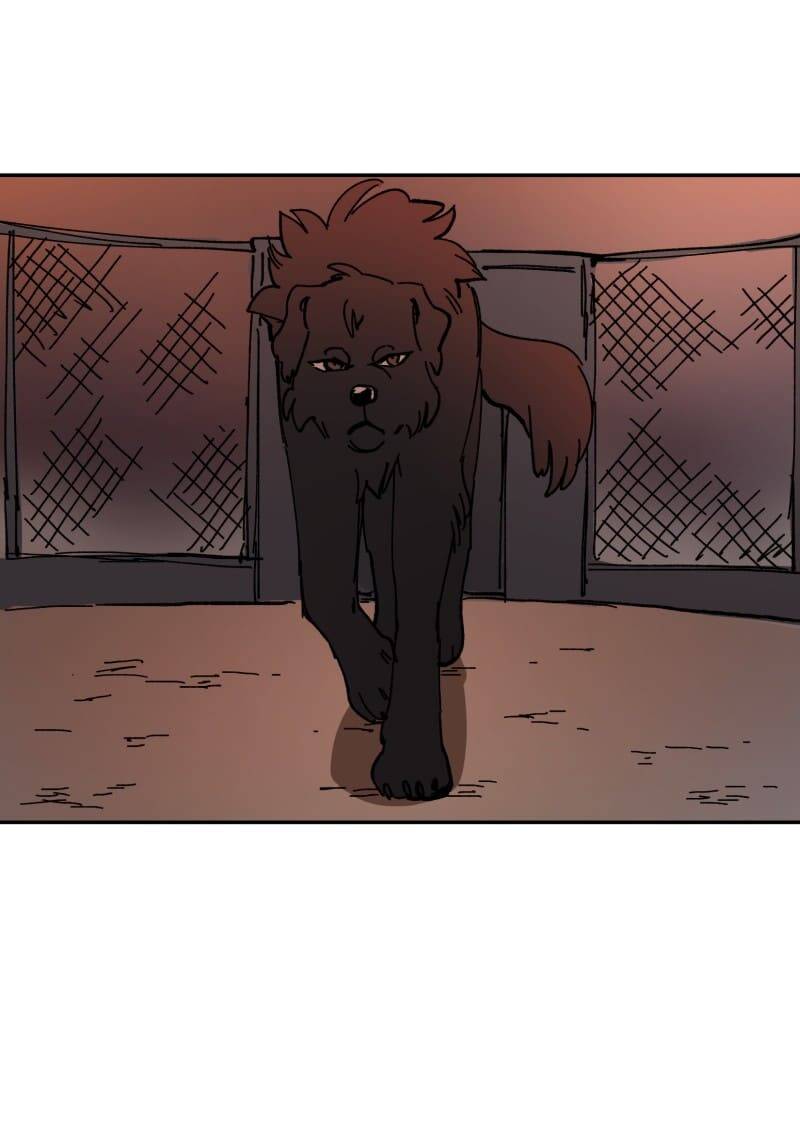 Lumine - Chương 113