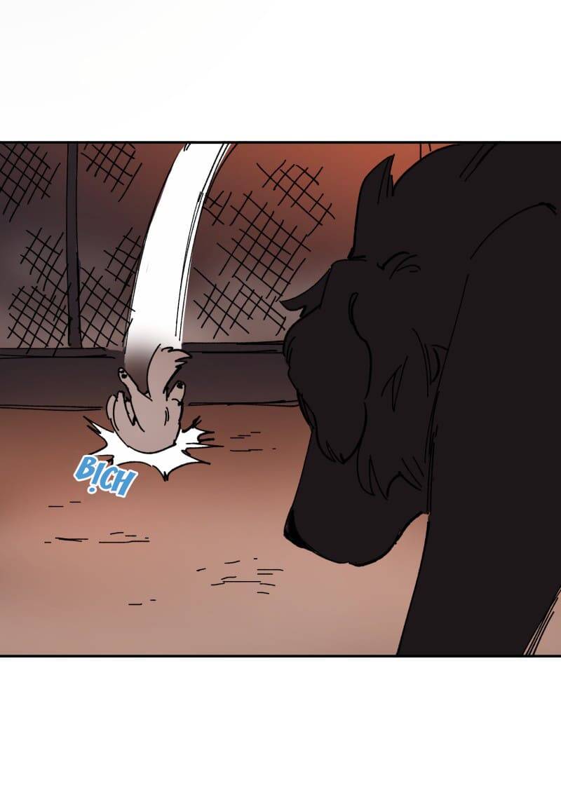 Lumine - Chương 113